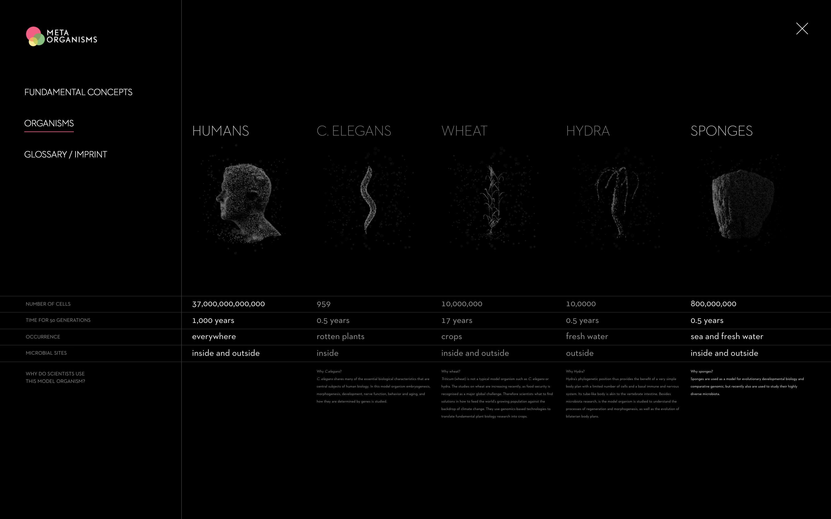 Metaorganismen im Vergleich